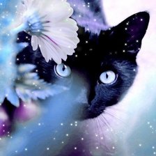 Схема вышивки «Кошка»