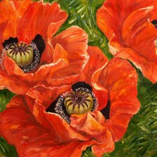 Схема вышивки «красные маки»