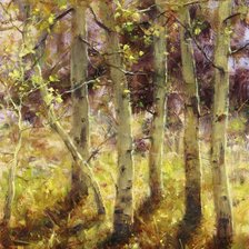 Схема вышивки «БЕРЕЗКИ»