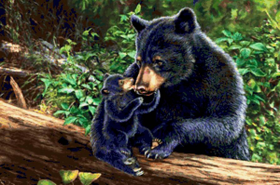 материнство - медведи - предпросмотр