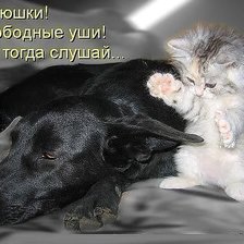 Схема вышивки «Батюшки! Свабодные ушки...»