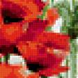 Предпросмотр схемы вышивки «Красный мак» (№308028)