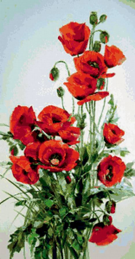 Красный мак - цветы, маки, букет - предпросмотр