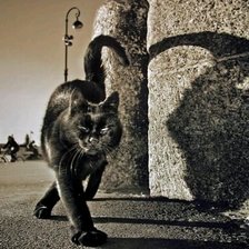 Схема вышивки «черная кошка»