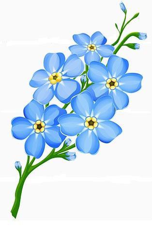 незабудки - цветы незабудки - оригинал