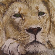 Схема вышивки «Лев (мал)»