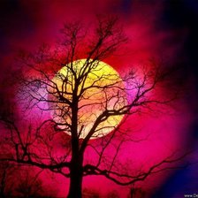 Схема вышивки «№308523»