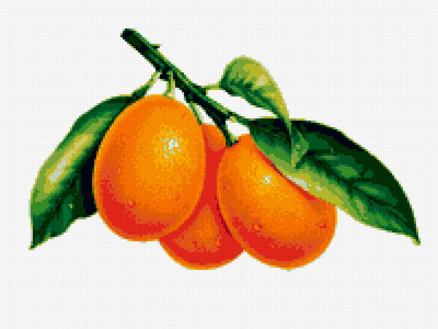 фрукты... - овощи, фрукты, кухонная тематика - предпросмотр