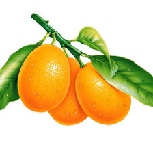 Схема вышивки «фрукты...»