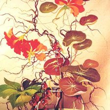 Схема вышивки «настурция»