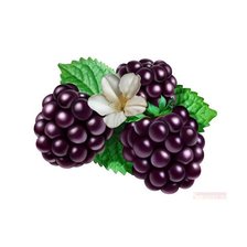 Схема вышивки «фрукты...»