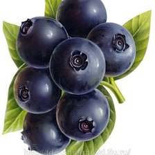 Схема вышивки «фрукты...»