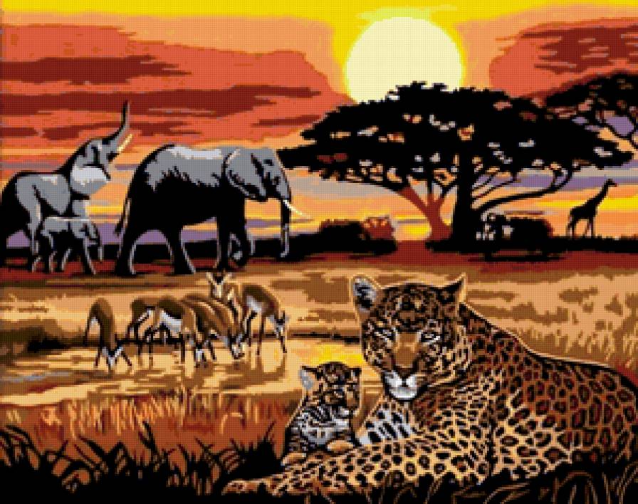 сафари - предпросмотр