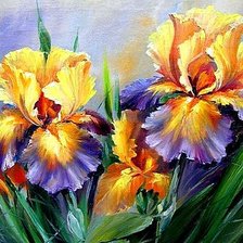 Схема вышивки «ирисы»