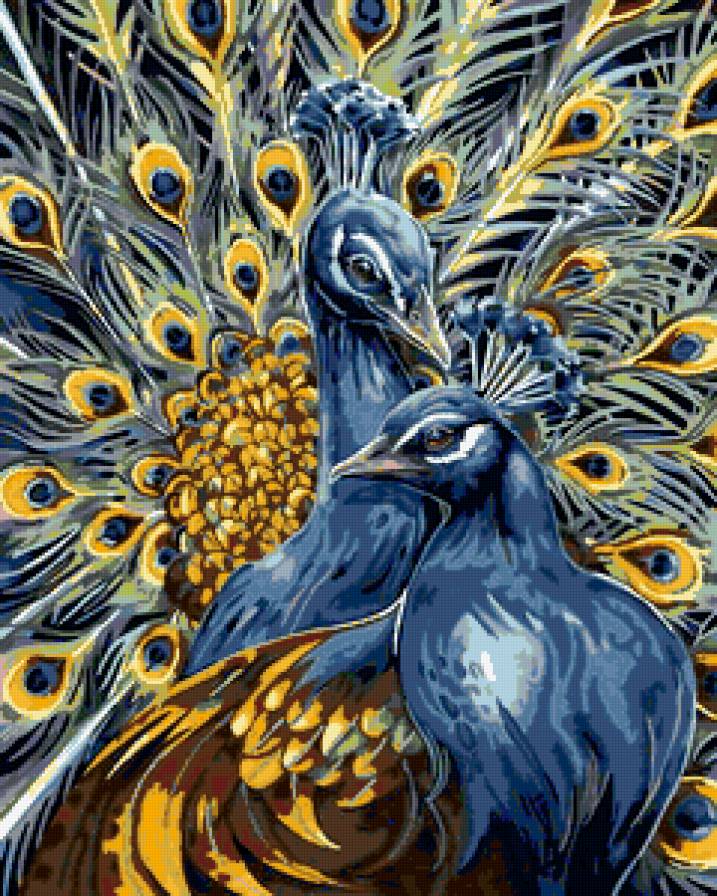 павлины - предпросмотр