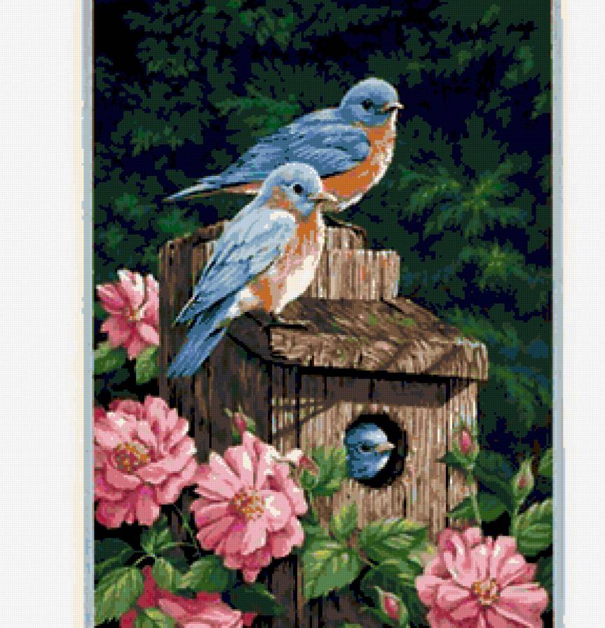 птицы в саду - предпросмотр