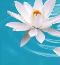 Схема вышивки «Три лотоса_часть 1»