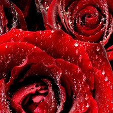 Схема вышивки «h»