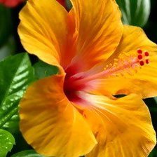 Схема вышивки «№308978»