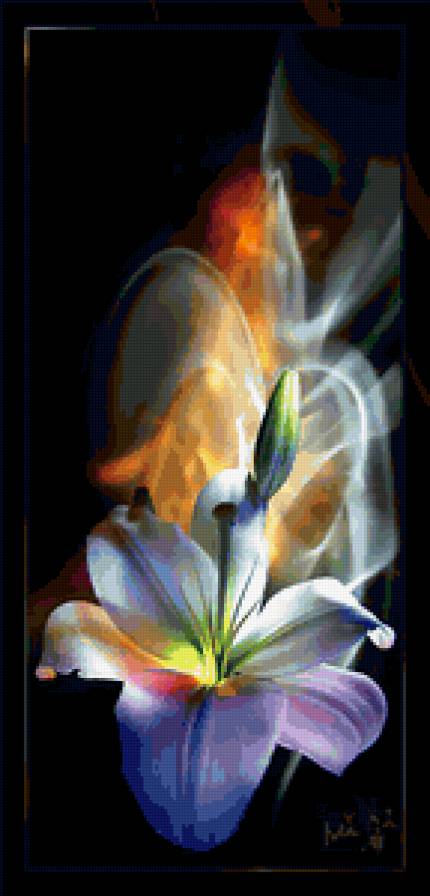 лилии2 - предпросмотр