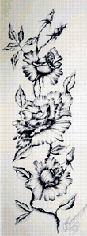 розы2 - предпросмотр