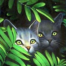 Схема вышивки «кошки»