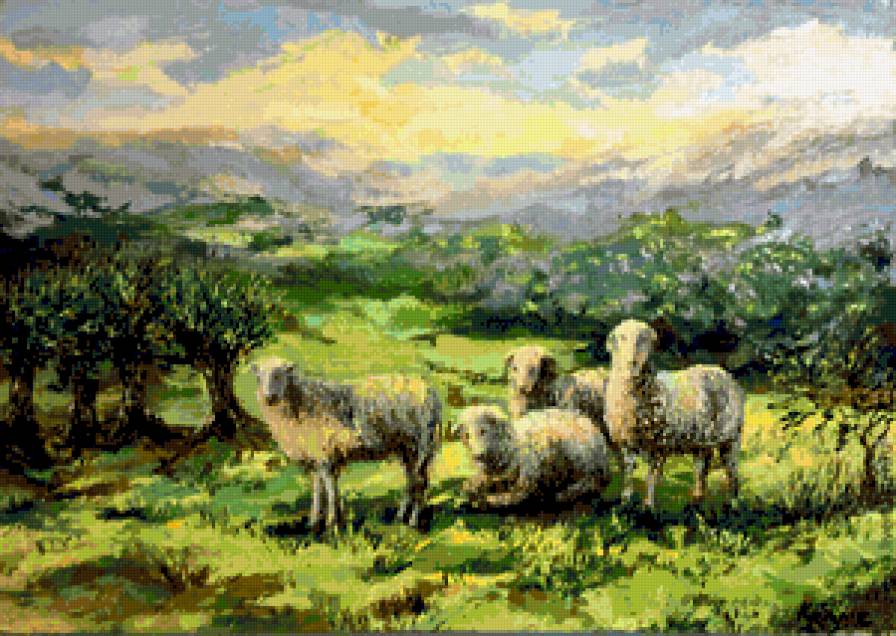 Пейзаж с овцами - овцы, сельской пейзаж, животные, природа - предпросмотр