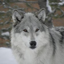 Схема вышивки «№309216»