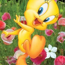 tweety