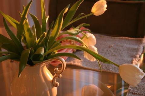 golden tulips - flowers - оригинал