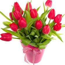 Схема вышивки «red tulips»