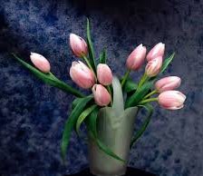 Схема вышивки «tulips»