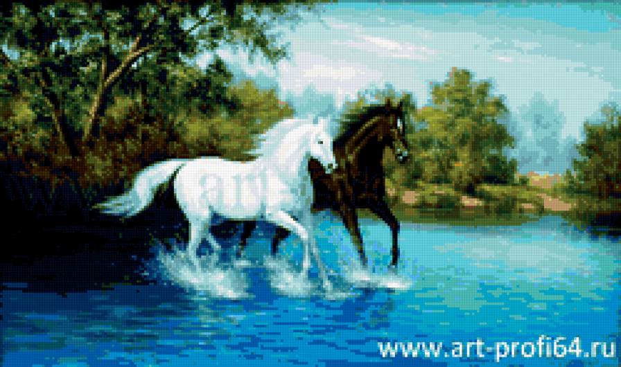 лошади - пара, природа, лошади - предпросмотр