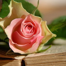 Схема вышивки «№309385»