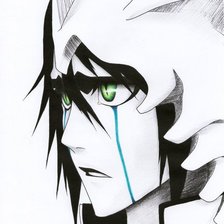 Схема вышивки «Улькиорра *О*»