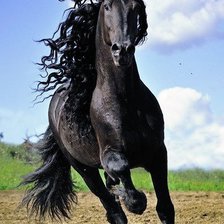 Схема вышивки «Черный конь»