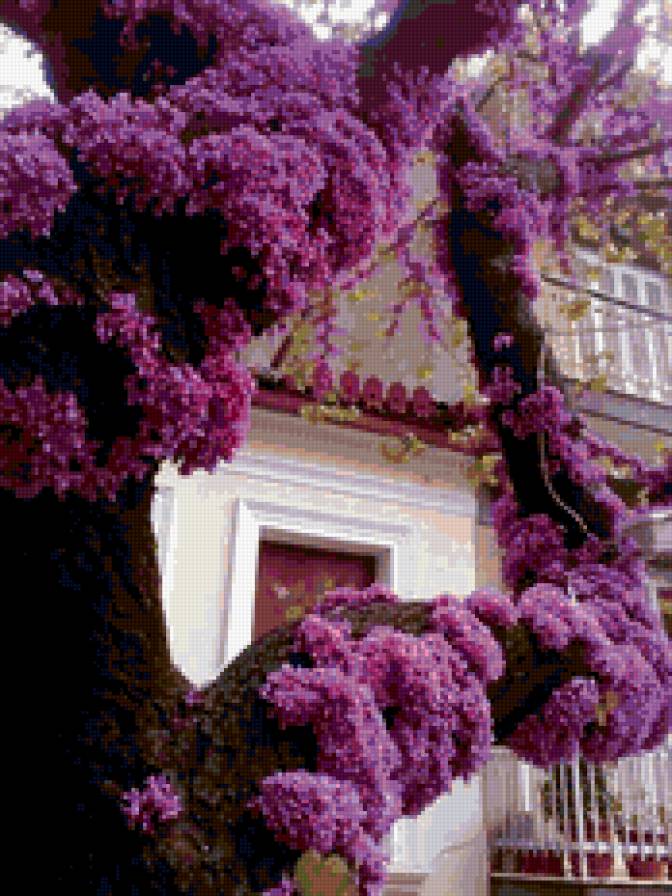 Весна в Японии - весна, япония - предпросмотр