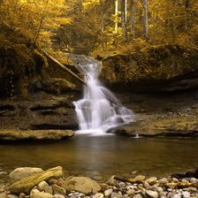 Лесной водопадик