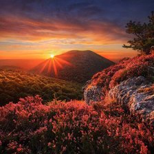 Схема вышивки «Осень в горах»