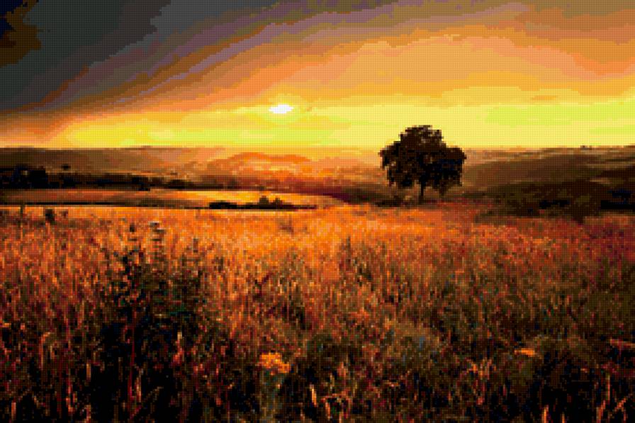 закат в поле - поле, закат - предпросмотр