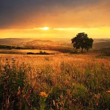 Схема вышивки «закат в поле»