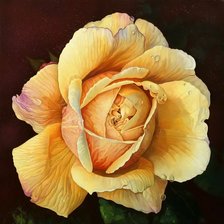 Схема вышивки «№309648»