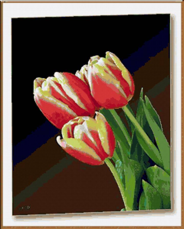 тюльпаны - тюльпаны, букет, цветы - предпросмотр