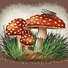 Схема вышивки «мухоморы»