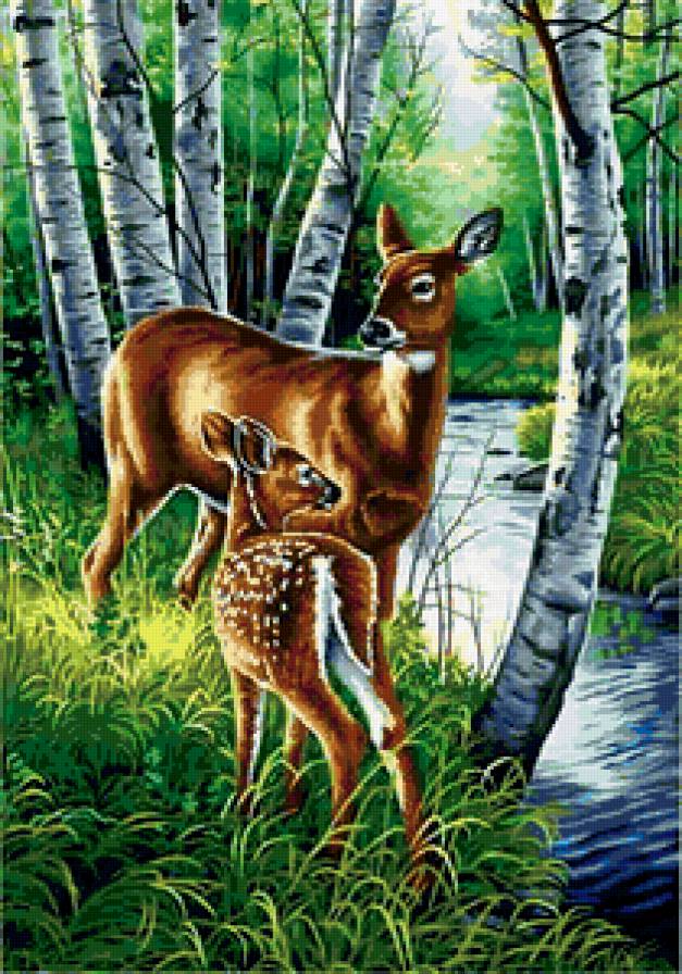 олени в лесу - предпросмотр