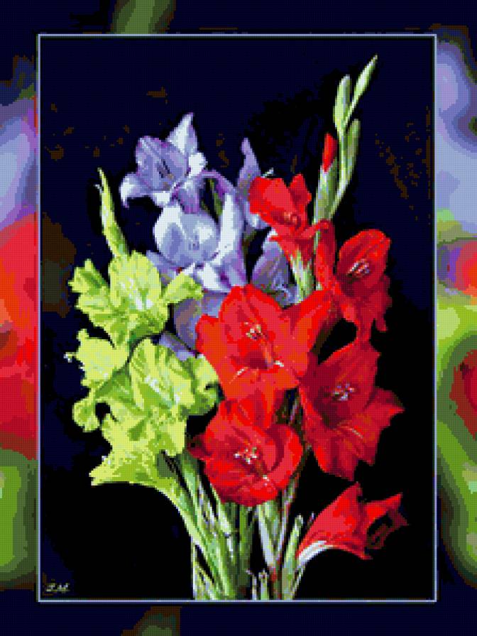 гладиолусы - букег, цветы, гладиолусы - предпросмотр