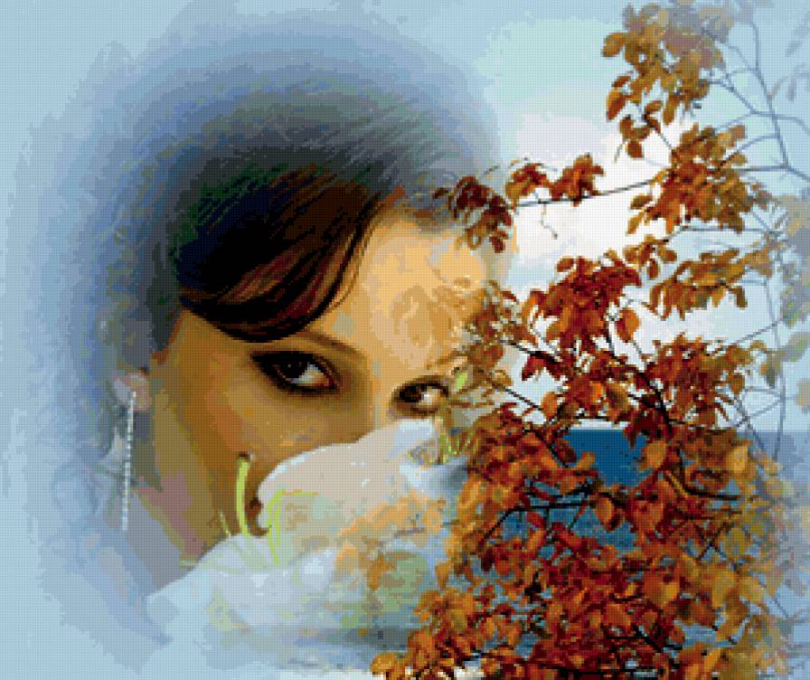 Где ты ? - девушки, красота - предпросмотр