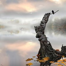 Схема вышивки «На краю»