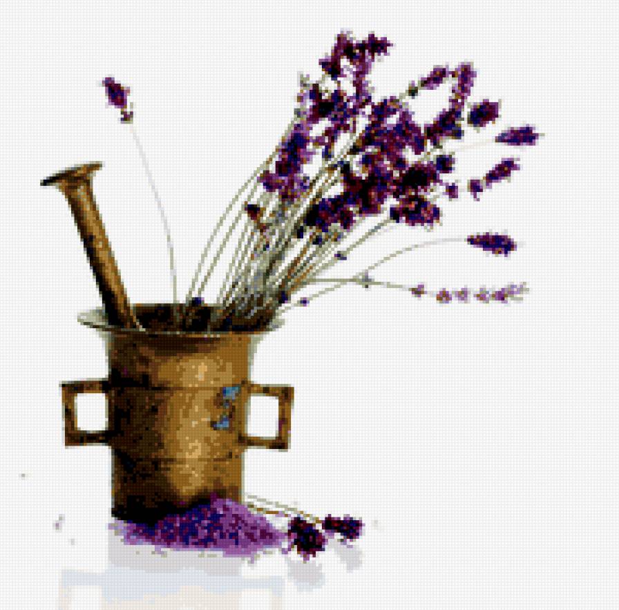 Лаванда - лаванда, цветы - предпросмотр