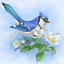 Схема вышивки «Приветик а вот и я .»